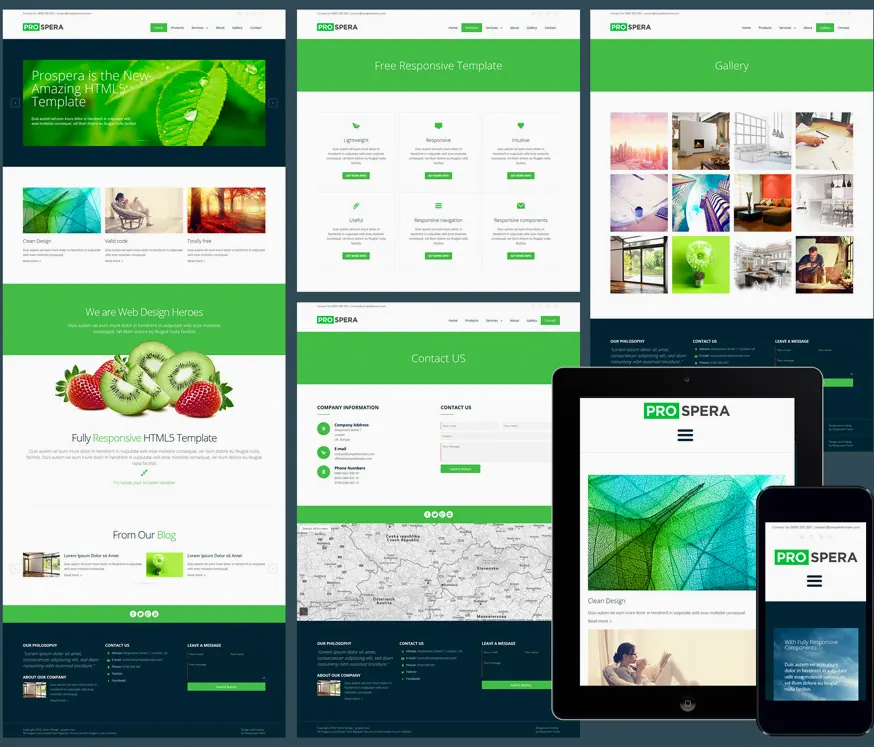 WordPress 搜索页模板定制示意图