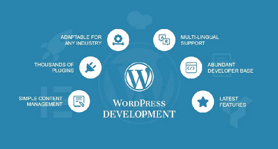 WordPress主题开发配图4